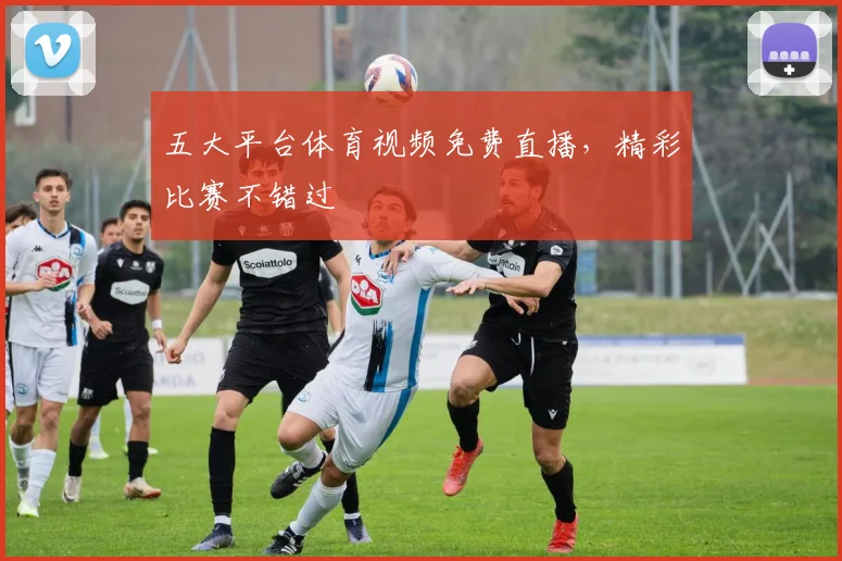 五大平台体育视频免费直播，精彩比赛不错过