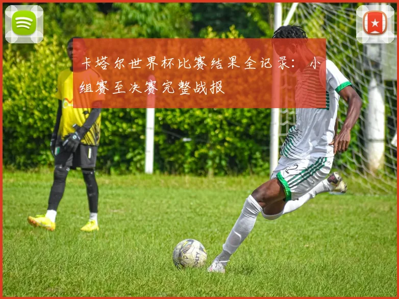 卡塔尔世界杯比赛结果全记录：小组赛至决赛完整战报