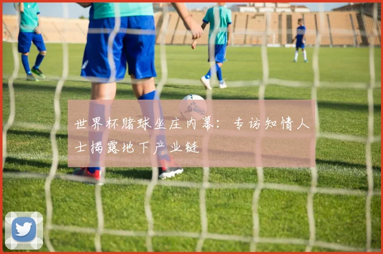 世界杯赌球坐庄内幕：专访知情人士揭露地下产业链